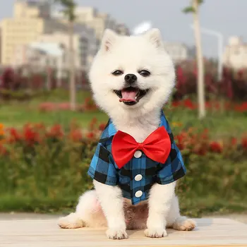 הכלב החליפה בגדים מוצק אופנה לחיות מחמד מעיל כלבים קטנים חתונה, יום הולדת חוגגים בגדים תחפושת